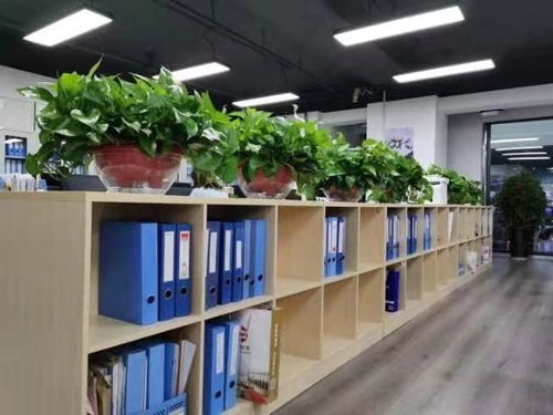 西安咸陽及周邊地區公司注冊與專業服務全解析 從工商注冊到代理記賬、審計、食品勞務派遣